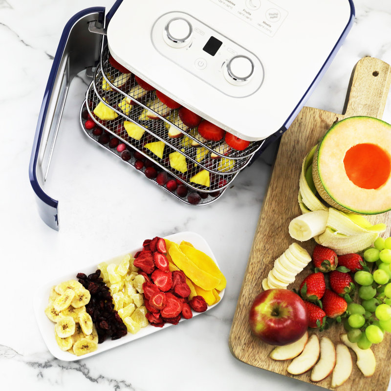 Nesco Food Dehydrator, Compact, 400W, Blue | Wayfair